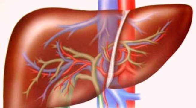 Những lưu ý khi dùng thuốc ở người bệnh gan