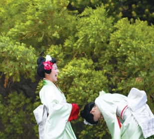 Why the Japanese live so long... and how you can too